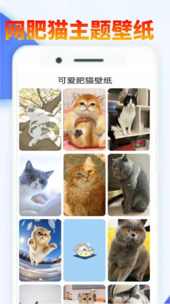 网肥猫app免费下载|网肥猫手机版 V0.0.2 安卓系统最新版免费下载