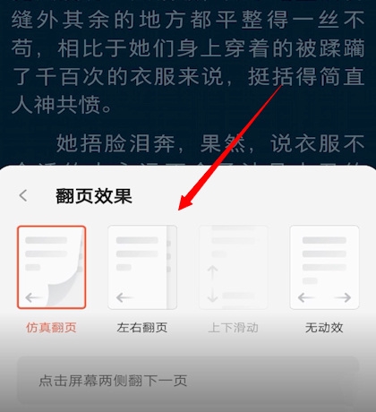 爱读掌阅app翻页效果设置教程图片4