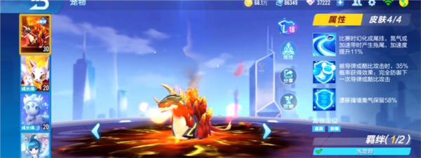 QQ飞车钻石宠物推荐