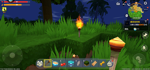 miniworld国际版图片9