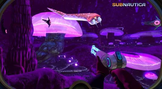 美丽水世界免费下载-美丽水世界最新版免费下载-美丽水世界中文版免费下载