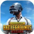 pubgmobile(手游国际服)原版2022免费下载-pubgmobile(手游国际服)原版2022免费下载安装v3.0.0
