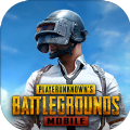 绝地求生游戏pubg(手游国际服)安卓版下载安装-地生存pubg(手游国际服)原版手机版下载安装2024v3.5.0