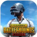 pubgmobile(手游国际服)免费下载安装下载-pubgmobile(手游国际服)免费下载安装最新版本v3.0.0