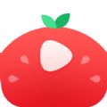 番茄视频app下载-番茄视频app下载最新版v1.3.5