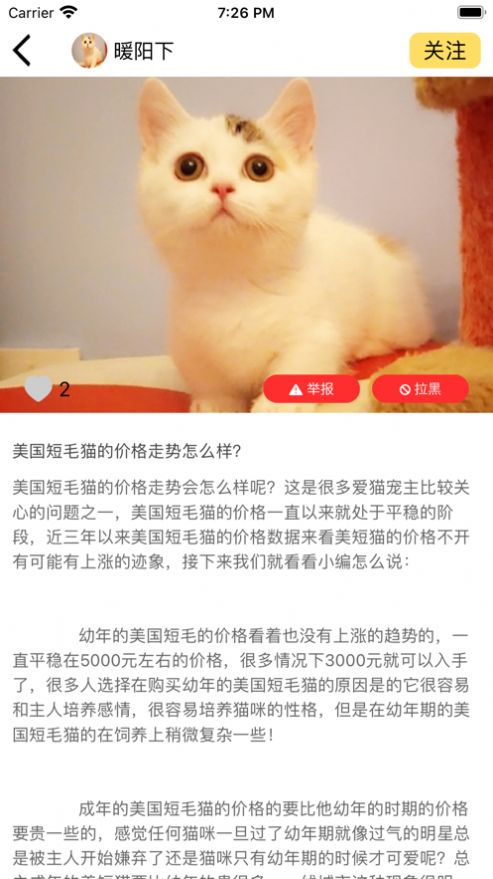 有爱有宠宠APP下载-有爱有宠宠APP安卓版v1.0