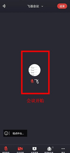 飞语会议