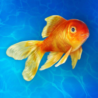 水族馆模拟器免费下载安装-水族馆模拟器手游官网版下载v1.1.1