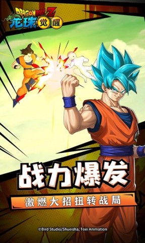 龙珠觉醒 第1张图