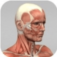 我想造人免费下载安装手机版本-我想造人官方网官方版下载v1.1