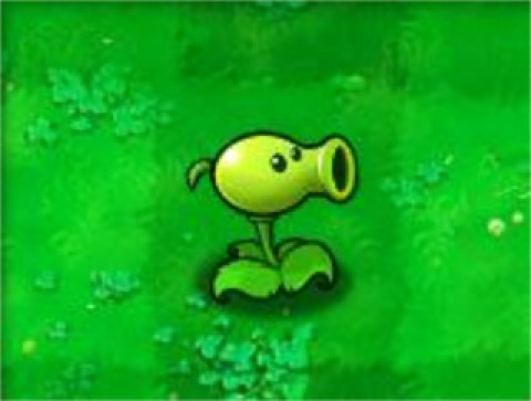 植物大战僵尸经典版 第1张图