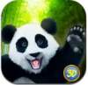 熊猫家族游戏官方正版免费下载-熊猫家族下载安卓v1.0