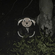 看不到的隐秘下载安装-看不到的隐秘下载免费版v2.0