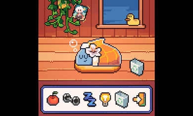 我小鲨鱼下载手机版安装最新版本-我小鲨鱼免费下载原版手机版1.0.1