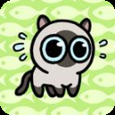 冒险猫下载安装-冒险猫下载原版1手机版