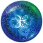 星噬中文完整版免费下载-星噬中文版安卓版下载手机版本2.5.0