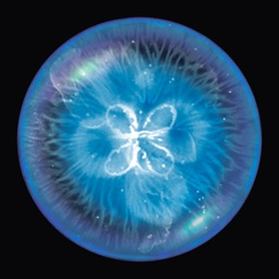 星噬手机版下载官方版-星噬汉语完整版下载2.5.0手机版