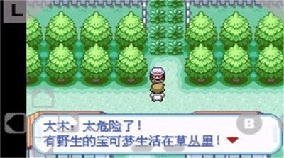 1706249647895407.jpg 20231023112707224.jpg