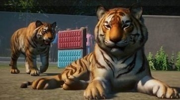 动物园之星手机免费下载-动物园新星免费版下载汉化版1.8手机版