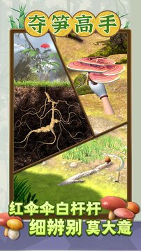 1709782050746265.jpg 109_9a88a137960b40ee347adc25c5762873_234x360.jpg