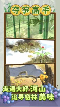 1709782057978227.jpg 109_edd7ffcfda86a70e5302448e119f8a41_234x360.jpg