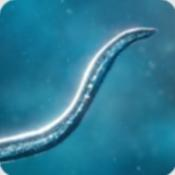 孢子模拟器手机版下载-孢子模拟器安卓版下载安装v55.67手机版