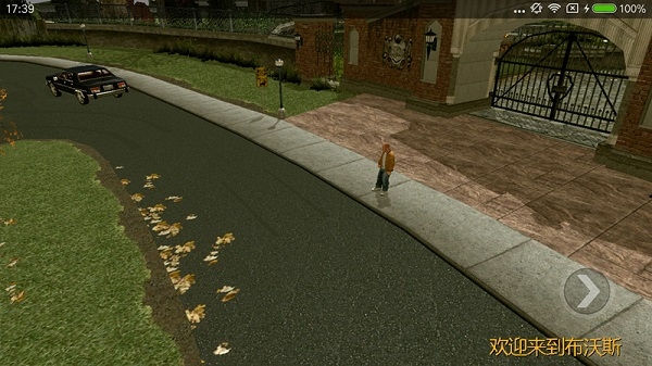 恶霸鲁尼手游下载安卓版-恶霸鲁尼免费下载汉化版手机版本1.0.0.14安卓版