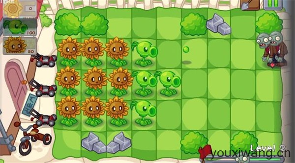 植物大战僵尸Dn版