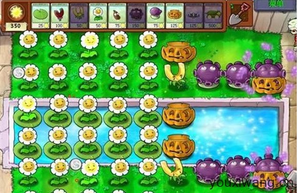 植物大战僵尸经典版