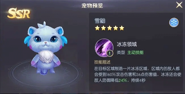 宠物选择推荐配图3