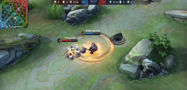 决胜巅峰图片22