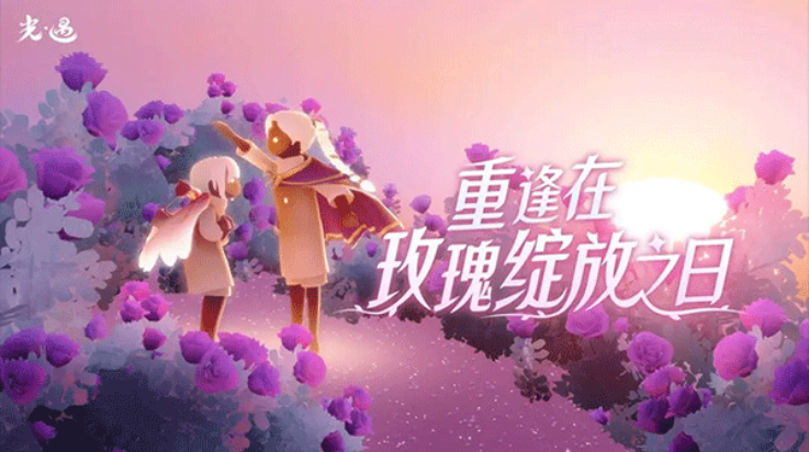 Sky光遇白鸟全物品版