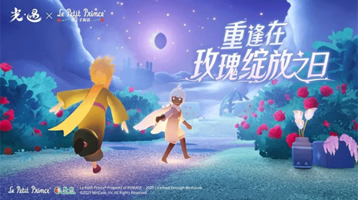 Sky光遇白鸟全物品版