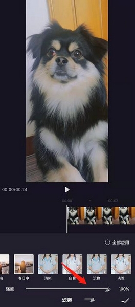 视频滤镜添加方法介绍4