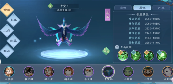 恒山宠物推荐配图1